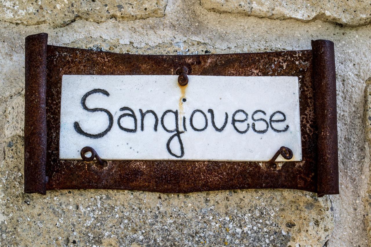 Agriturismo Poggio Delle Conche Πιτιλιάνο Εξωτερικό φωτογραφία